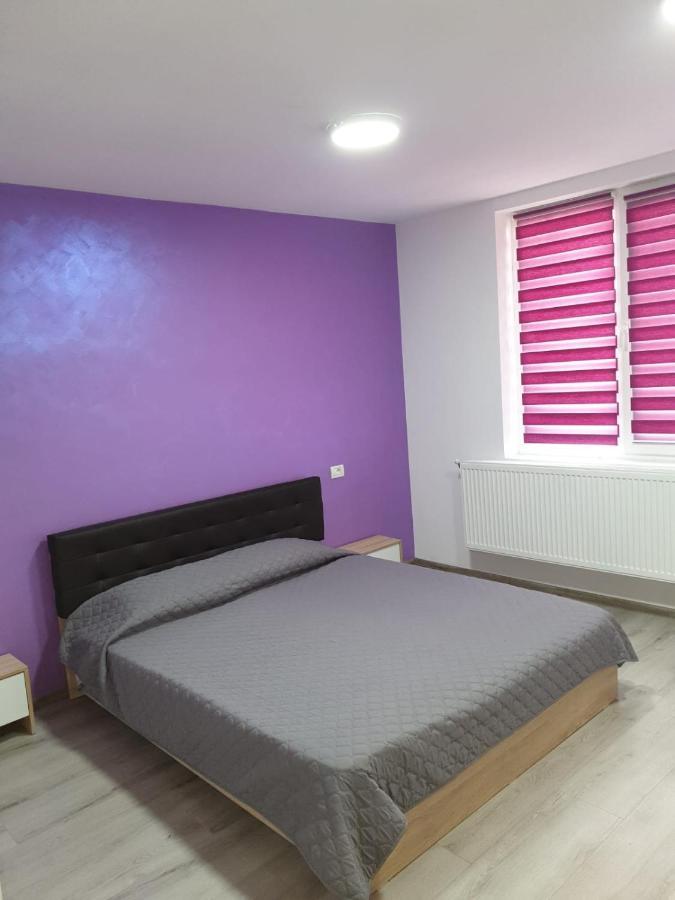 Apartament Negris Bîrlad 외부 사진
